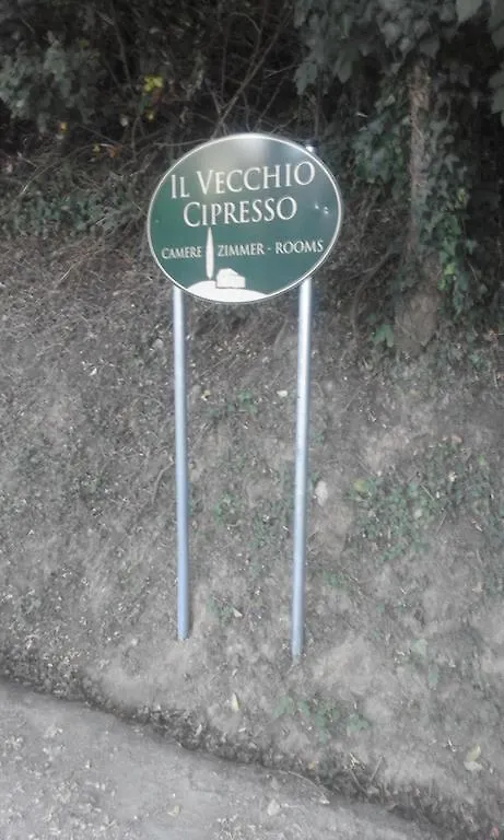 Il Vecchio Cipresso Apartment San Gimignano