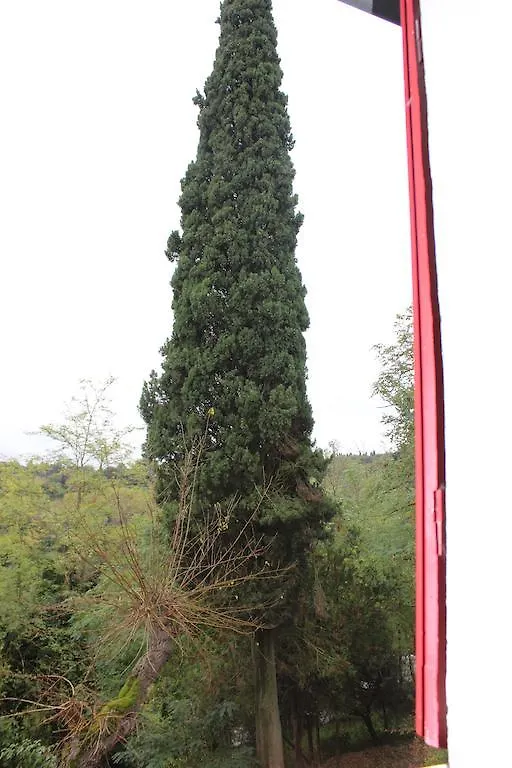Il Vecchio Cipresso Apartment San Gimignano Italy